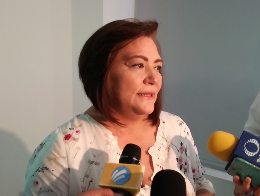 Presupuesto 2019 se reducirá por no ser periodo electoral: Taddei Zavala