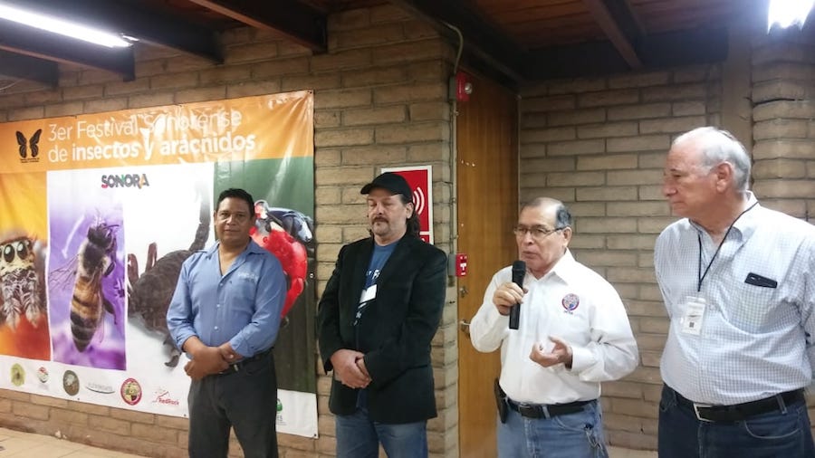 Educa el Centro Ecológico sobre insectos y arañas