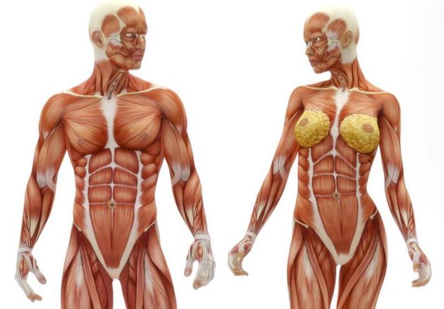 Cada parte del cuerpo significa algo en tu vida