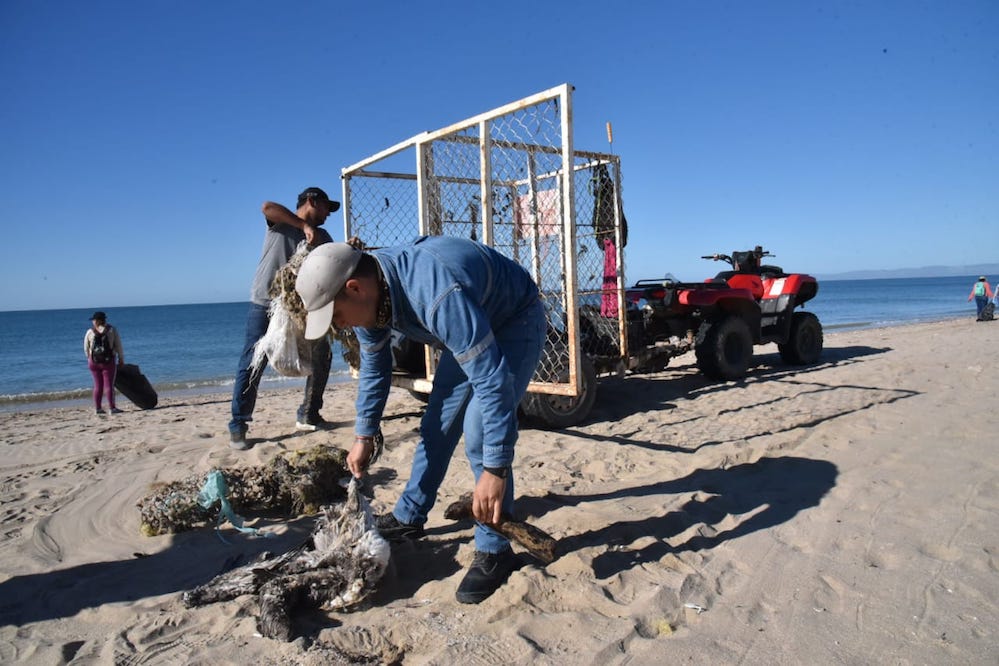 Voluntarios retiran tres toneladas de basura en limpieza de playa en Kino