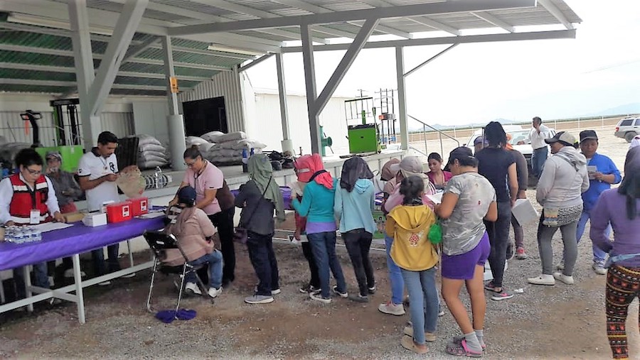 Busca ISM empoderamiento de mujeres jornaleras agrícolas de Caborca