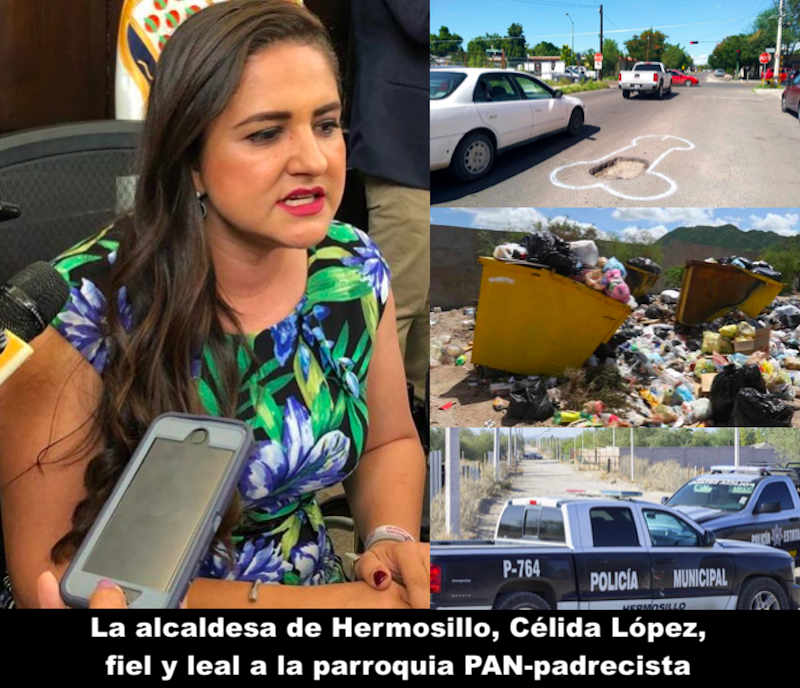 Célida y sus cortinas de humo