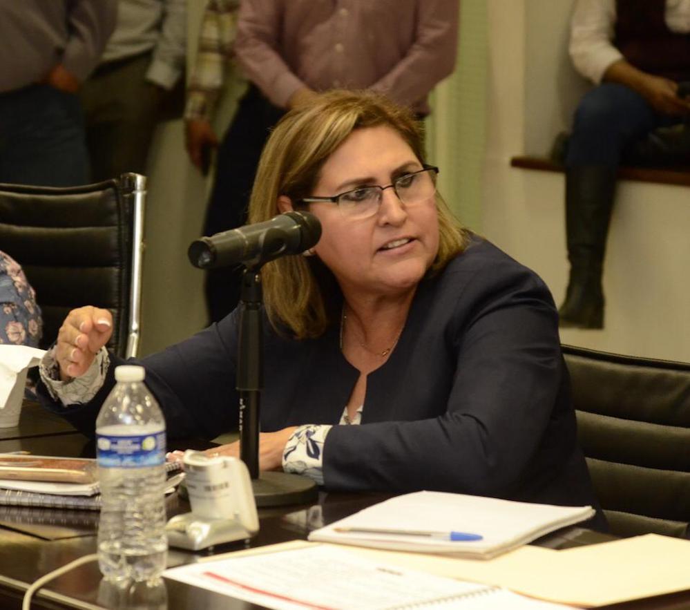 Preocupa situación de ISSSTESON y debemos ayudar a resolverla: diputados priistas