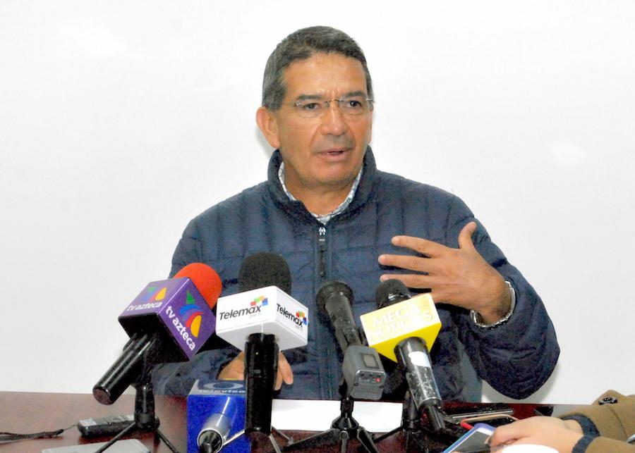 Llaman a la disposición final responsable de arbolitos navideños naturales