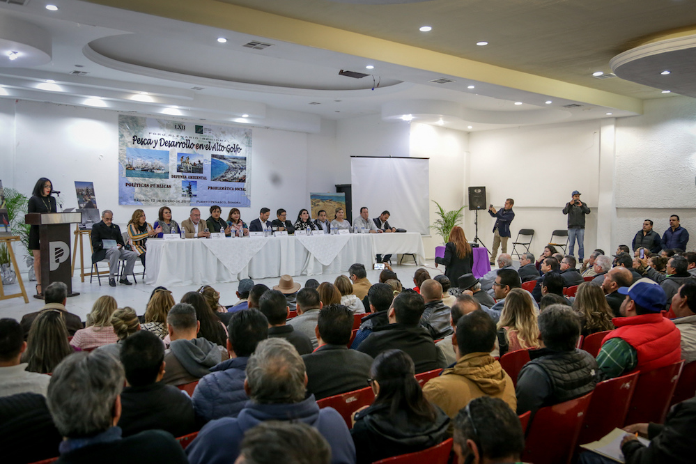 Recibe Comisión propuestas para mejorar el sector pesquero en el Alto Golfo
