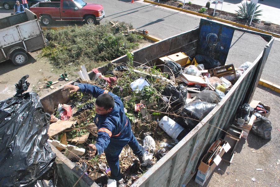 Un éxito el operativo de acopio y trituración de pinos navideños naturales﻿