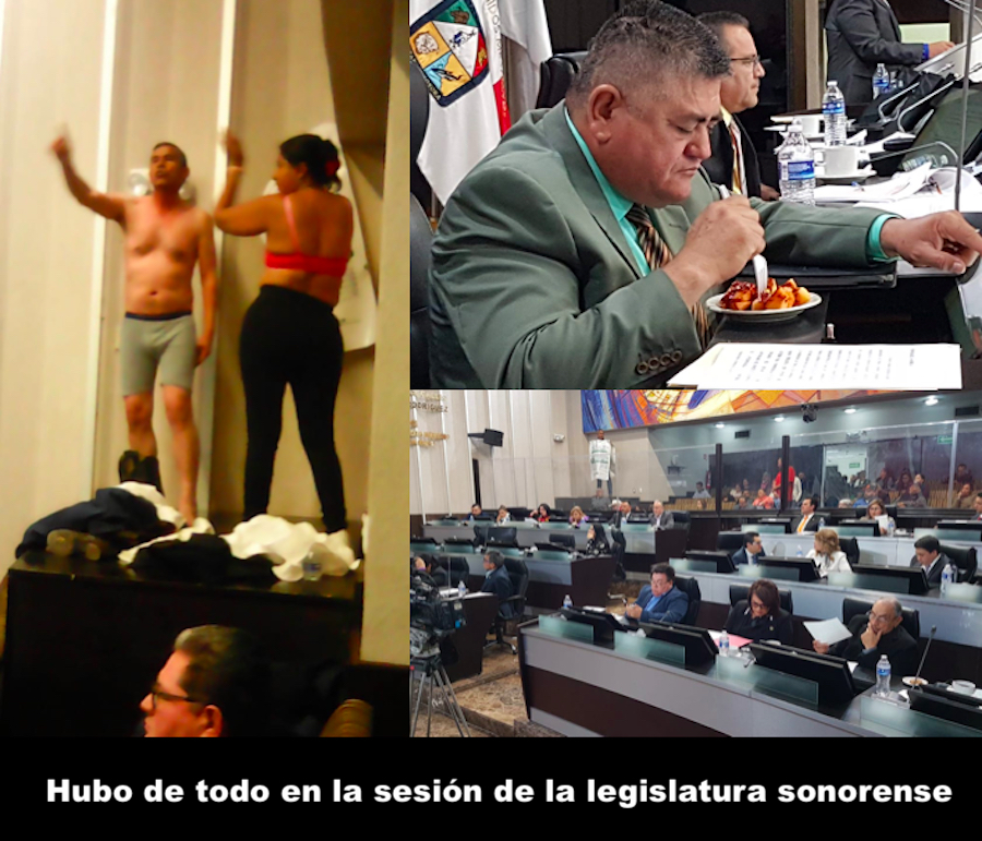 Versatilidad legislativa Versatilidad legislativa
