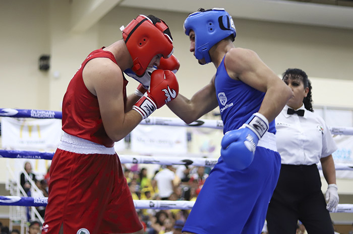 Crearán escuelas gratuitas de boxeo en todo el país