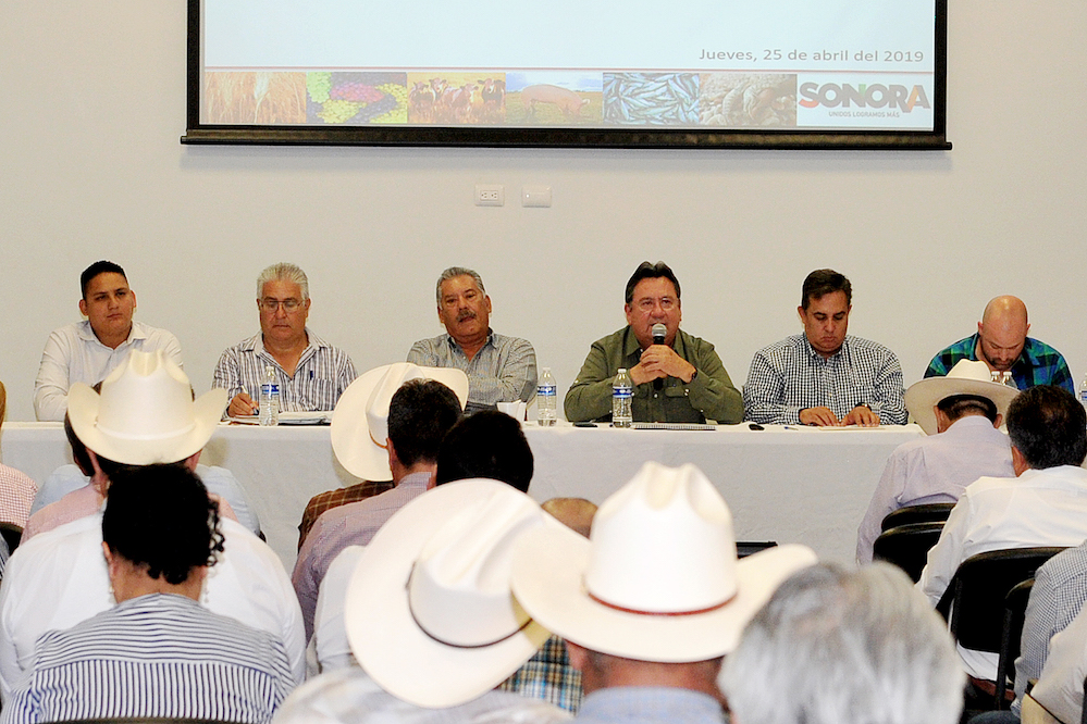 Aprueban Convocatoria para el Programa de Concurrencia con Entidades Federativas 2019