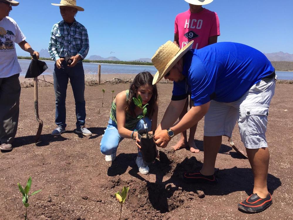 Celebran Día de la Tierra en Estero El Soldado
