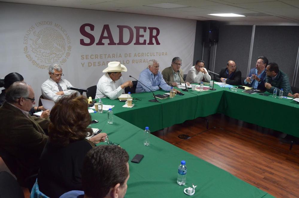 Fructifican gestiones ante la Sader para productores sonorenses Fructifican gestiones ante la Sader para productores sonorenses