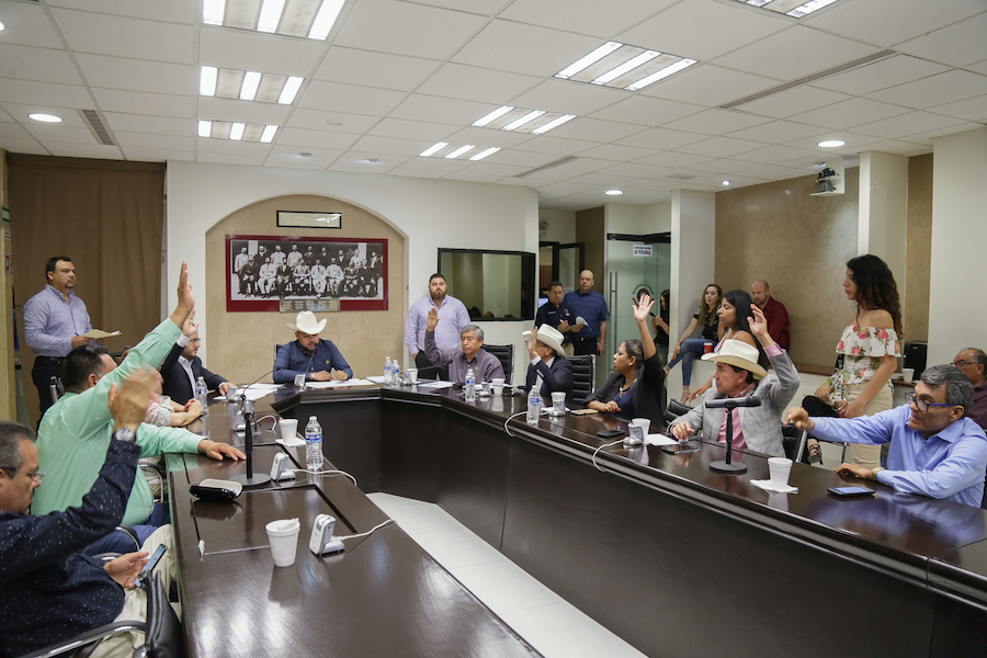 Dictaminan nueva Ley de Fomento Apícola y Protección de Agentes Polinizadores