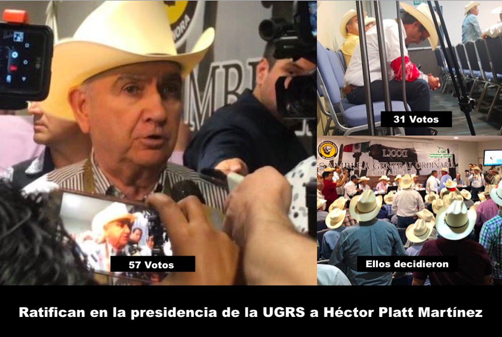 Perdió MORENA, no Baranzini