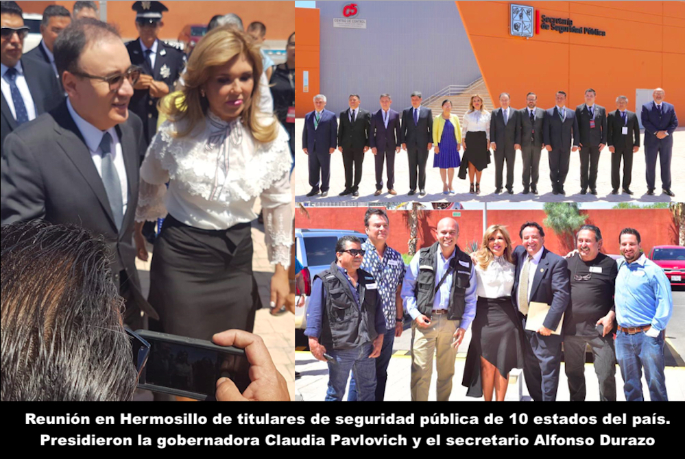 Seguridad pública, el tema