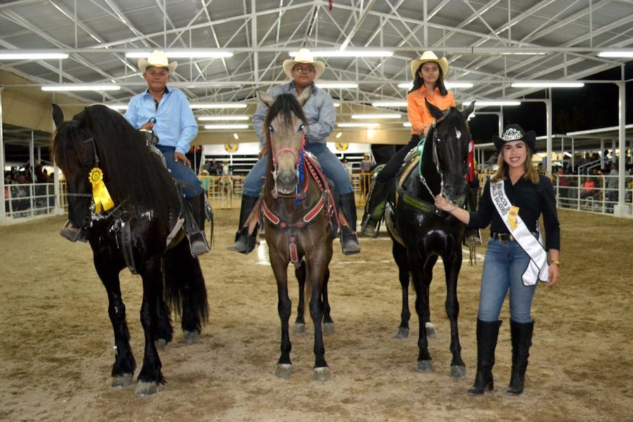 Muestran niños y niñas destreza en Concurso de Caballos Bailadores