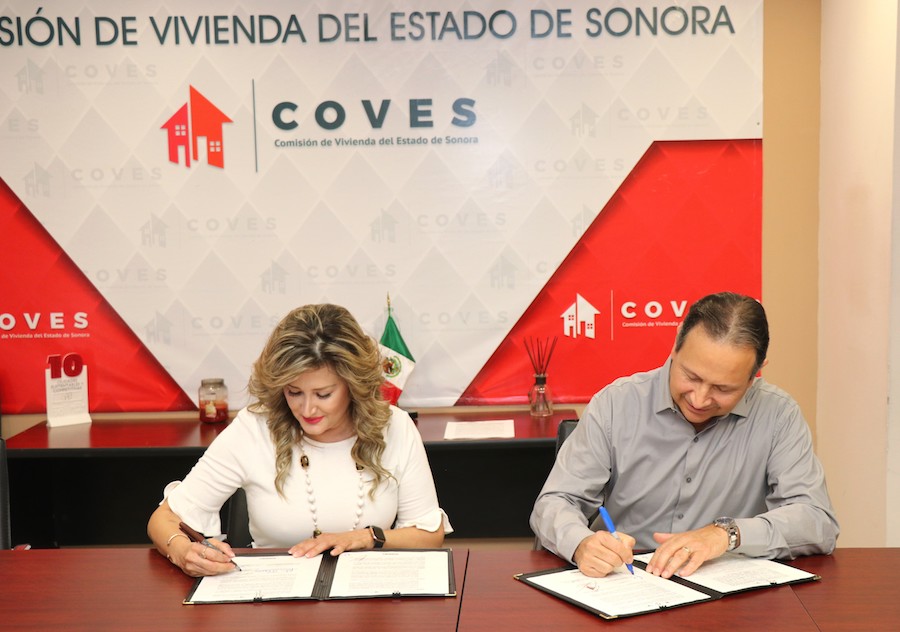 Impulsan Cedes y Coves plan de reforestación Impulsan Cedes y Coves plan de reforestación