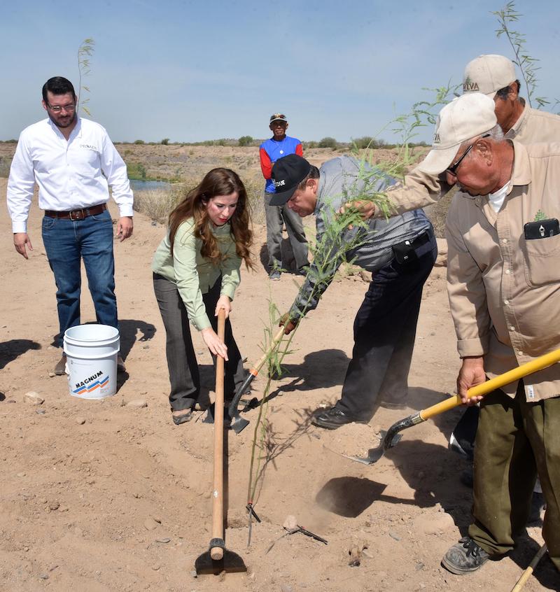 Inician reforestación en Ecoparque