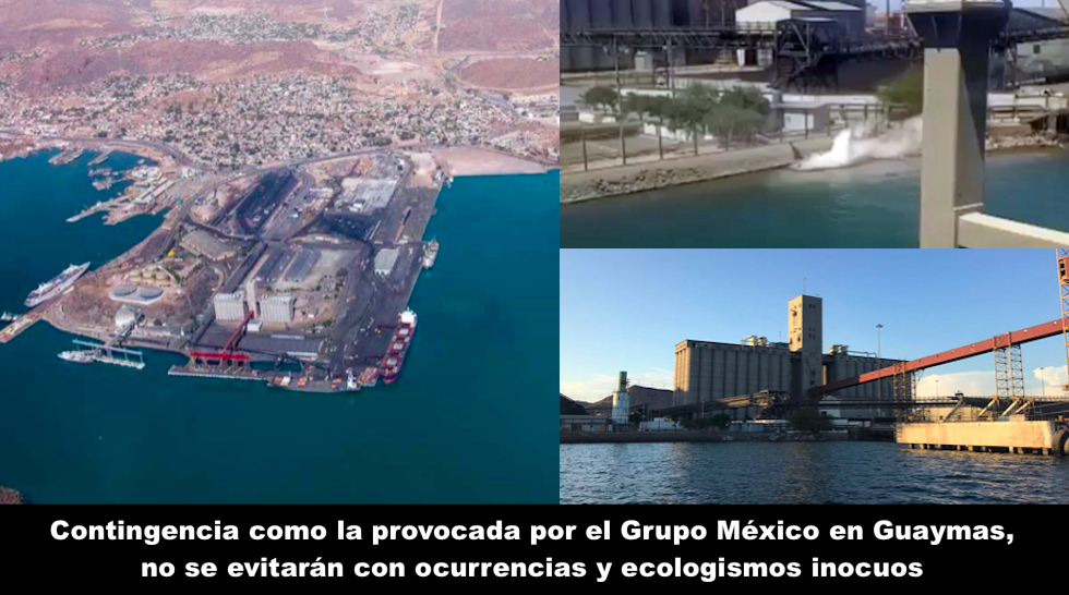 Ecologismo inocuo