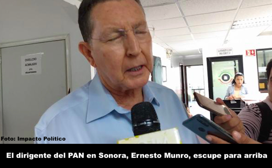 Temeraria apuesta del PAN