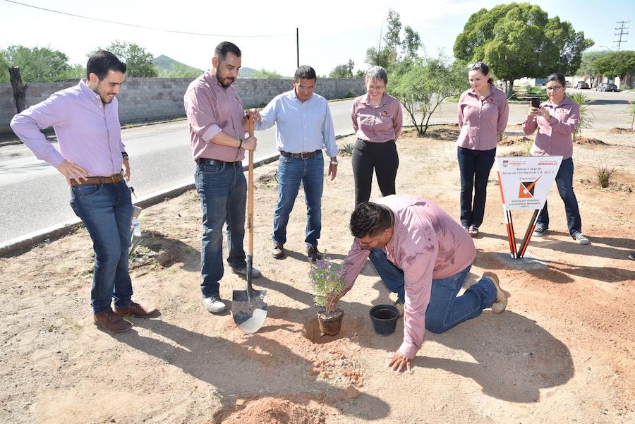 Transforman bulevar en Parque Industrial