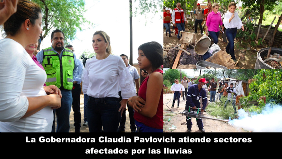 De las palabras a los hechos