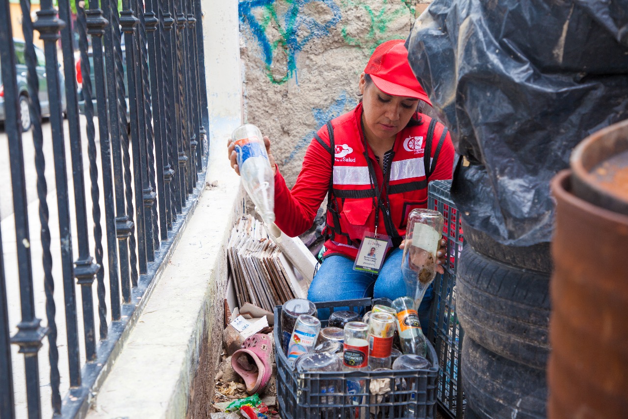 Pide Salud Sonora eliminar criaderos del mosco en los hogares