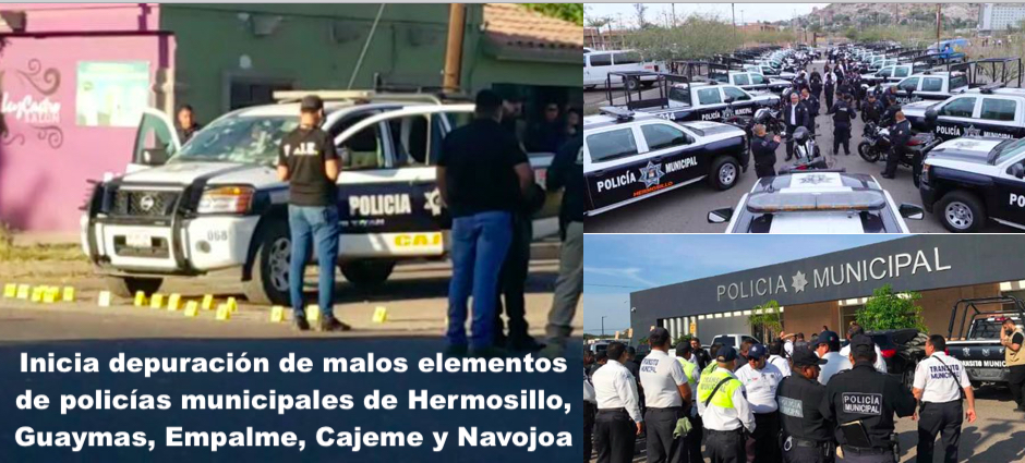 Riesgosa depuración policial