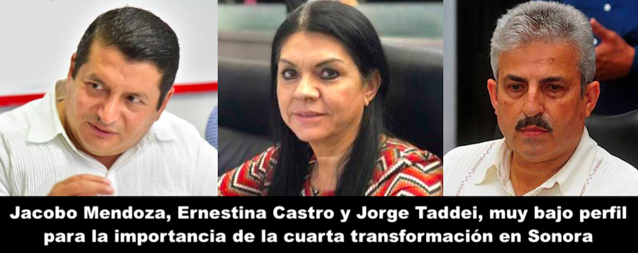 MORENA subrepresentada