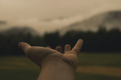 ¿Cómo confiar en la vida?