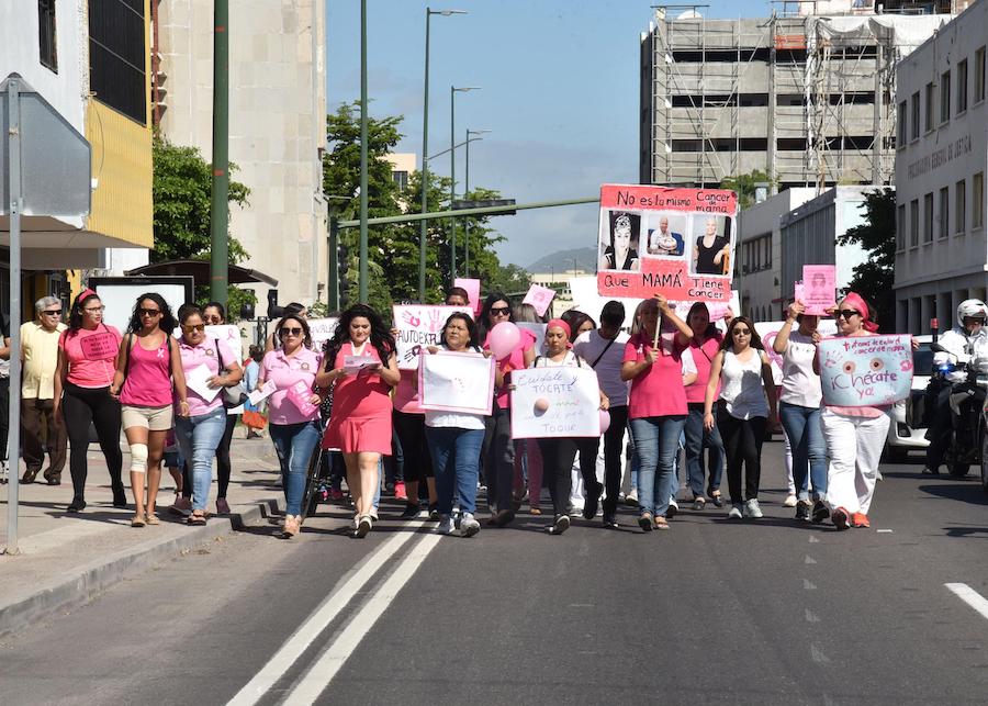 Caminaron para conmemorar la lucha contra el cáncer de mama
