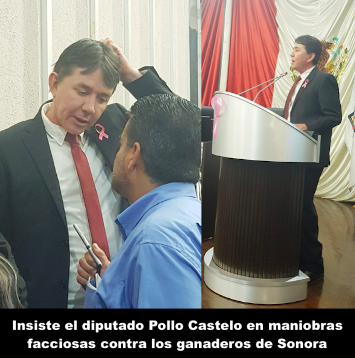 Más ocurrencias legislativas