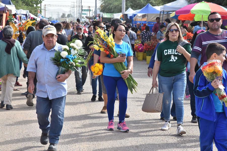 Confirma Gobierno Municipal más de 48 mil visitantes a panteones de Hermosillo