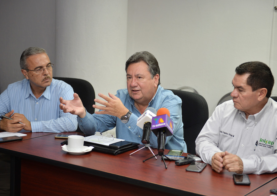Hermosillo será sede del VII Simposio Nacional de Garbanzo