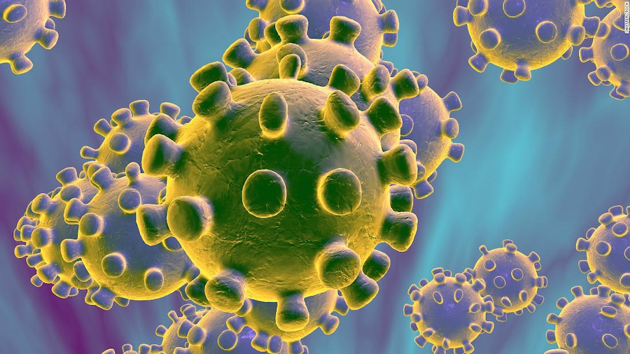 Salud descarta casos sospechosos de coronavirus en las últimas 24 horas