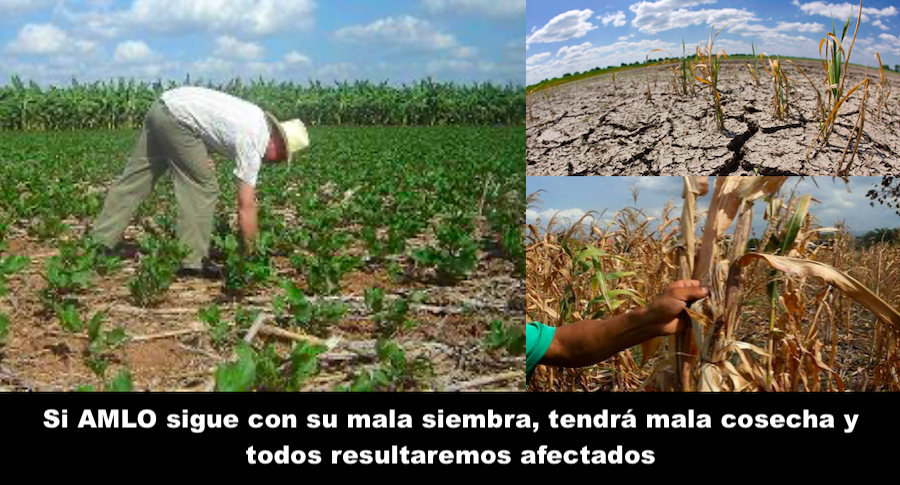 Siembra de esperanzas