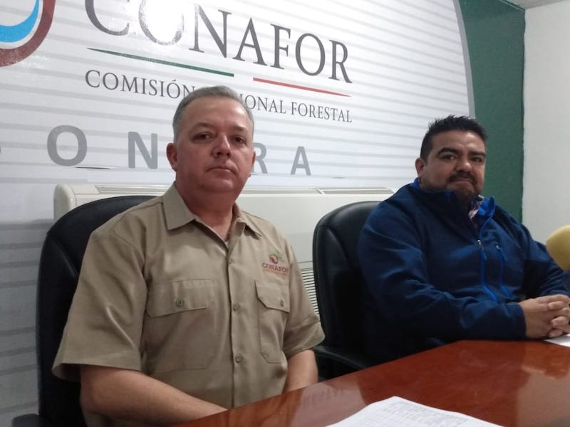 Incrementará CONAFOR acciones de prevención