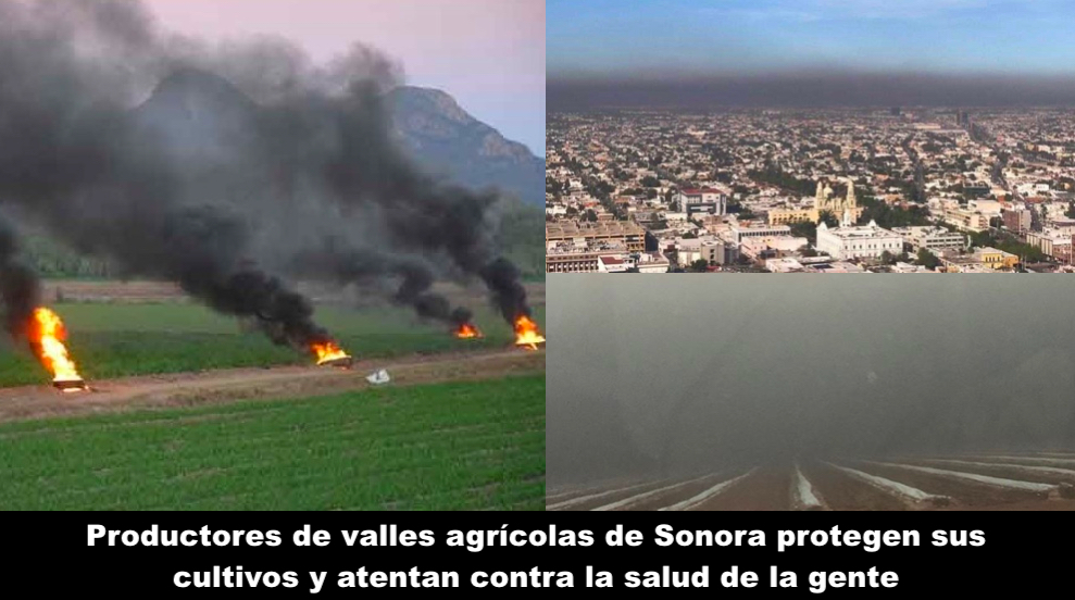 Pero qué les pasa
