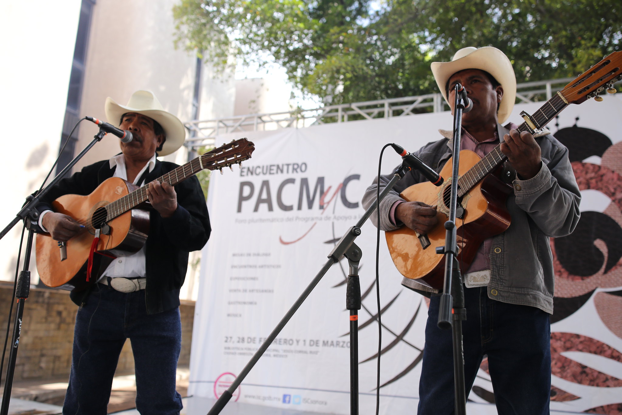Reiteran llamado a participar en el Programa de Acciones Culturales Multilingües y Comunitarias, Pacmyc 2020
