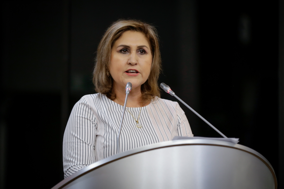 Da positivo a Covid 19  diputada Rosa Icela Martinez