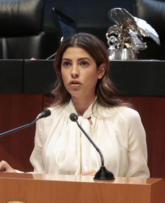 Iniciativa propone tipificar las agresiones al personal de salud, protección civil, bomberos, Fuerzas Armadas y policías durante un Estado de Emergencia Iniciativa propone tipificar las agresiones al personal de salud, protección civil, bomberos, Fuerzas Armadas y policías durante un Estado de Emergencia