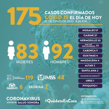 Lo mejor es quedarse en casa: anuncian 11 fallecimientos y 175 casos Lo mejor es quedarse en casa: anuncian 11 fallecimientos y 175 casos