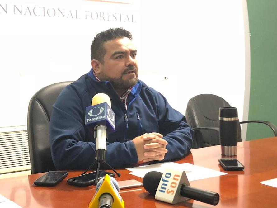 Reporta la Conafor 30 incendios forestales Reporta la Conafor 30 incendios forestales