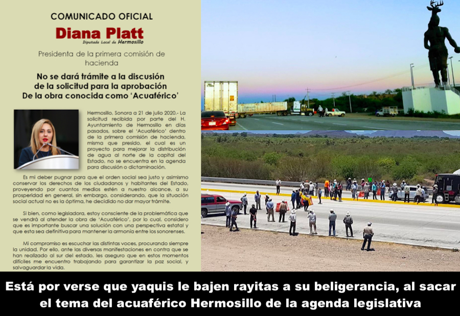 Sensatez provisional Sensatez provisional