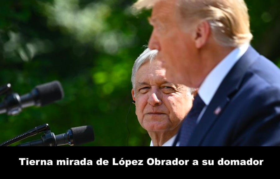 El reino de la irrealidad