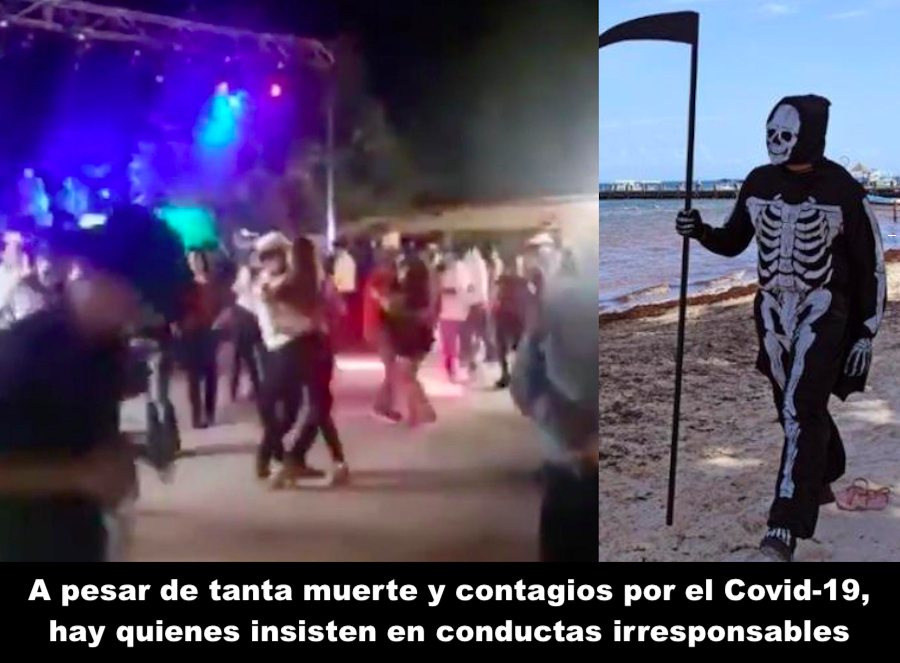 Casi como animales
