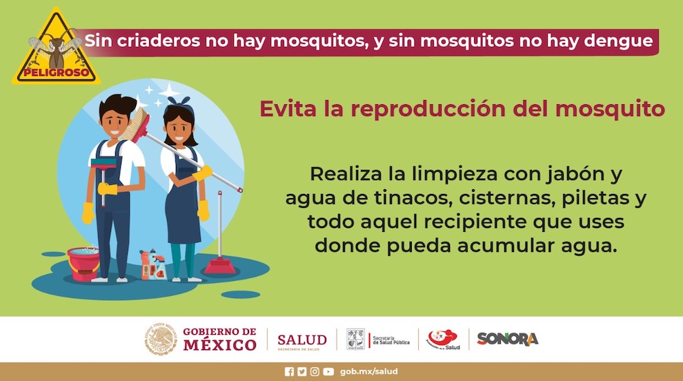 Llama Salud Sonora a eliminar criaderos de moscos para evitar dengue