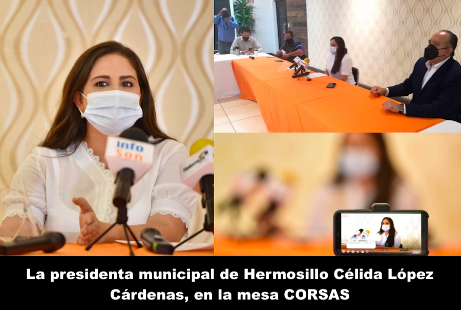 Definiciones de Célida