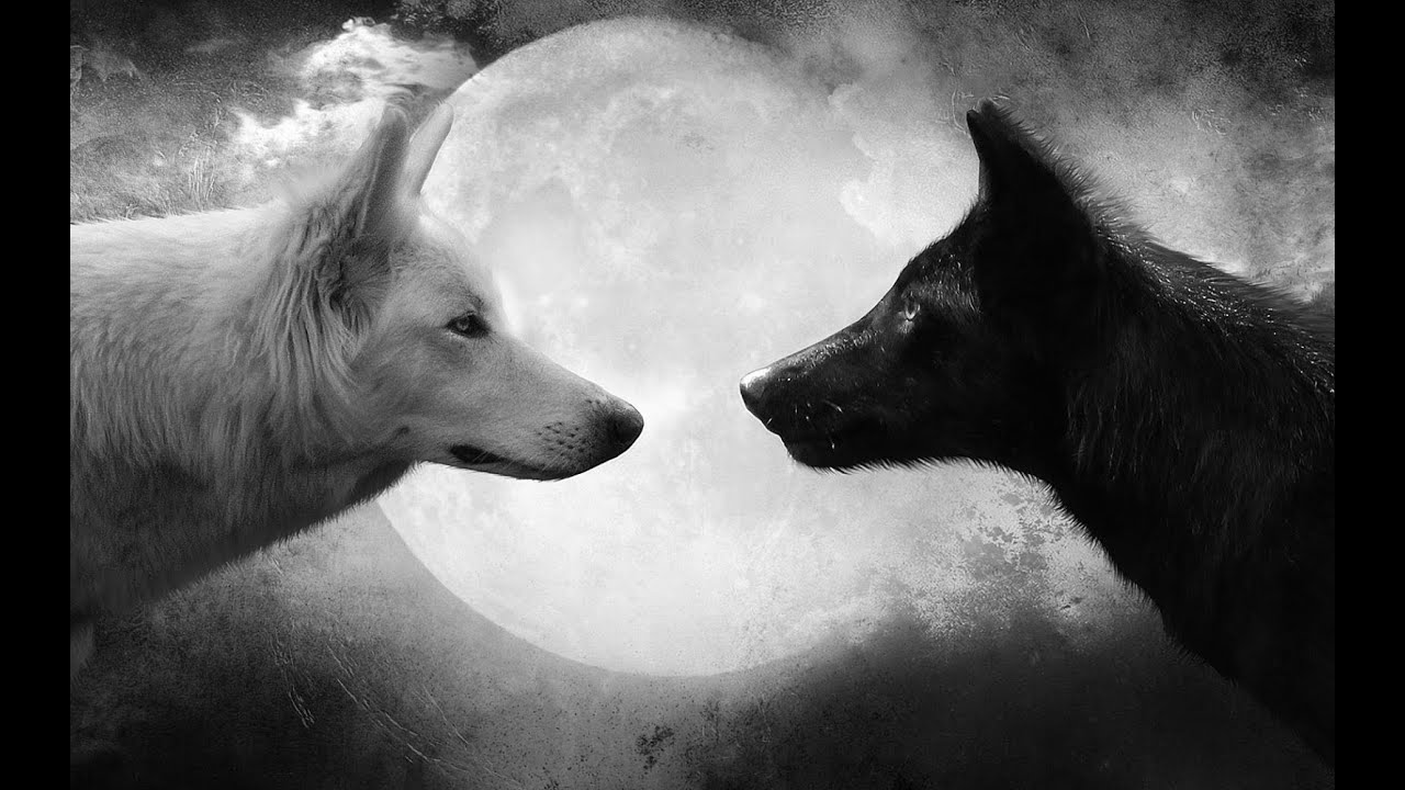 Los dos lobos