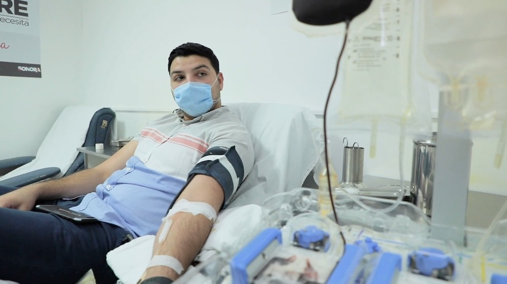 Donación de plasma para afectados de Covid-19, ya es por ley