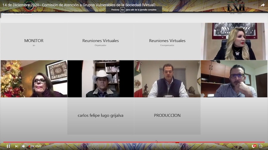 Dictamina comisión a favor de las personas con discapacidad visual y auditiva